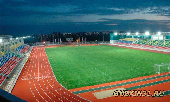 Стадион футбольного клуба ГУБКИН