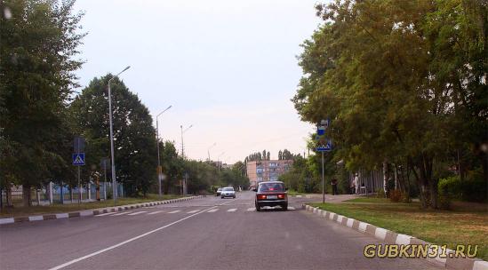 Улица Маяковского в Губкине