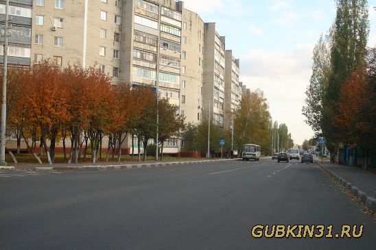 Улица Дзержинского в Губкине Белгородской облавсти