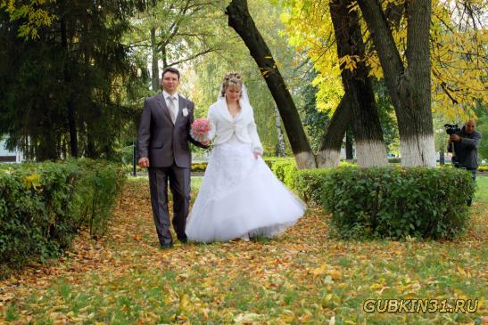 Свадьба Сергея и Ольги