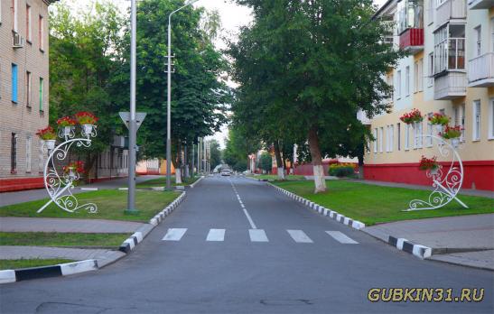 Улица Пролетарская в Губкине