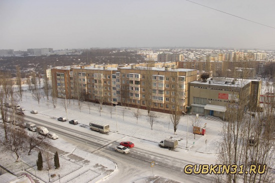 Улица Королёва в Губкине зимой