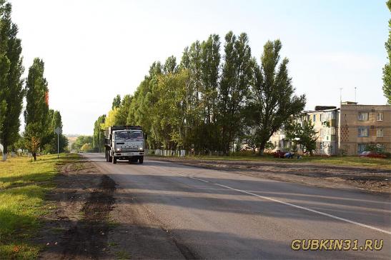 Автодорога возле п. Троицкий в сторону Курской области