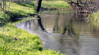 Река Осколец в Губкине